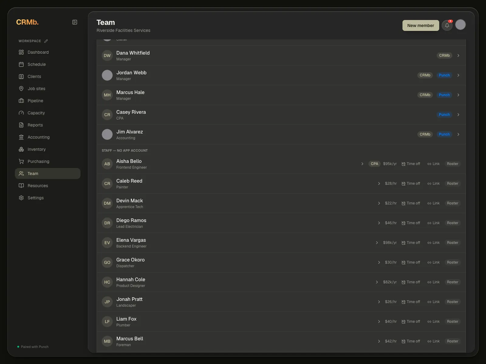The team list: app members with their role and CRMb, Punch and Owner pills, then the roster group underneath.